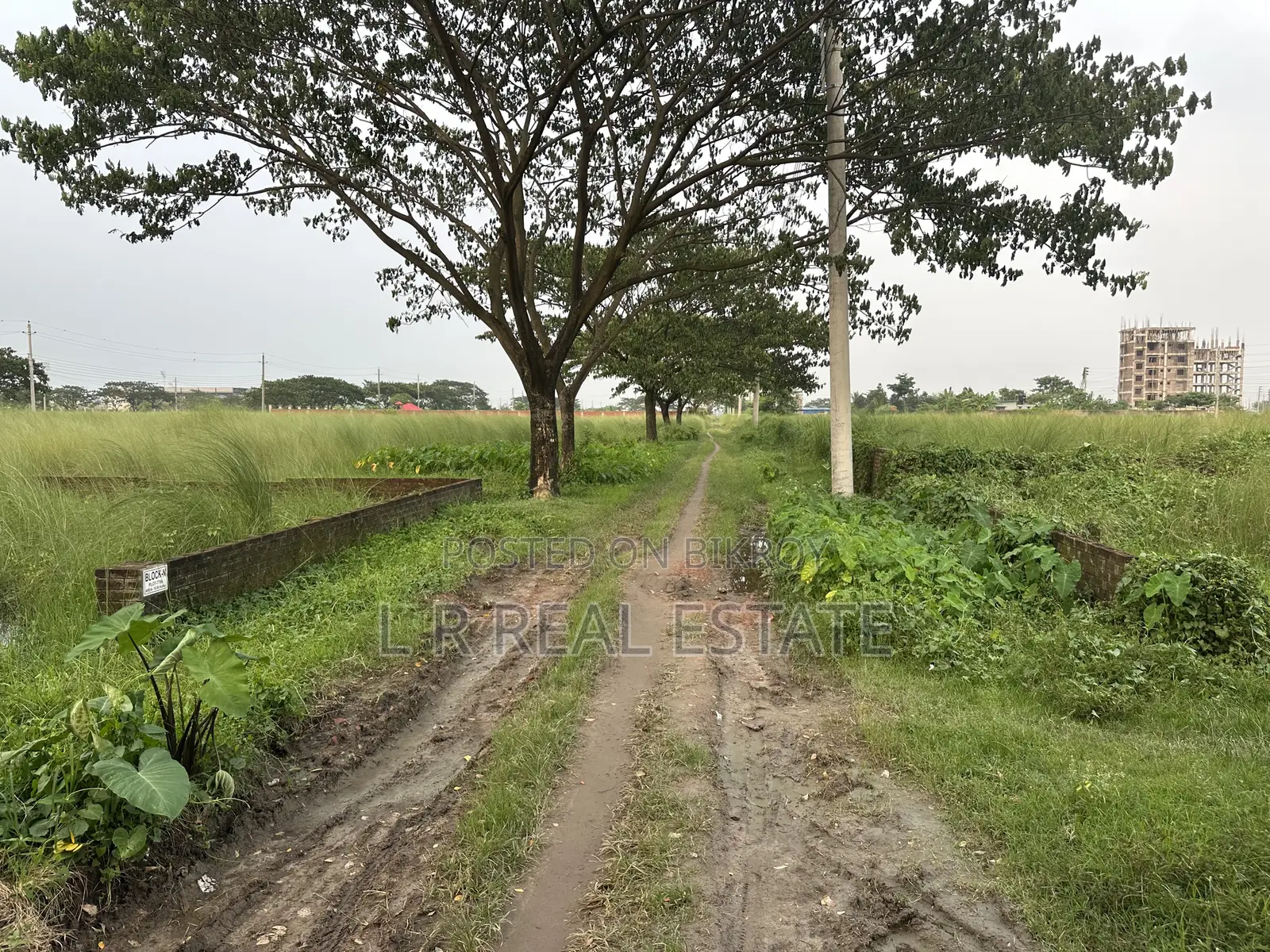 Block-N, 10 Katha, South-facing, Near Sports Complex, Bashundhara R/A