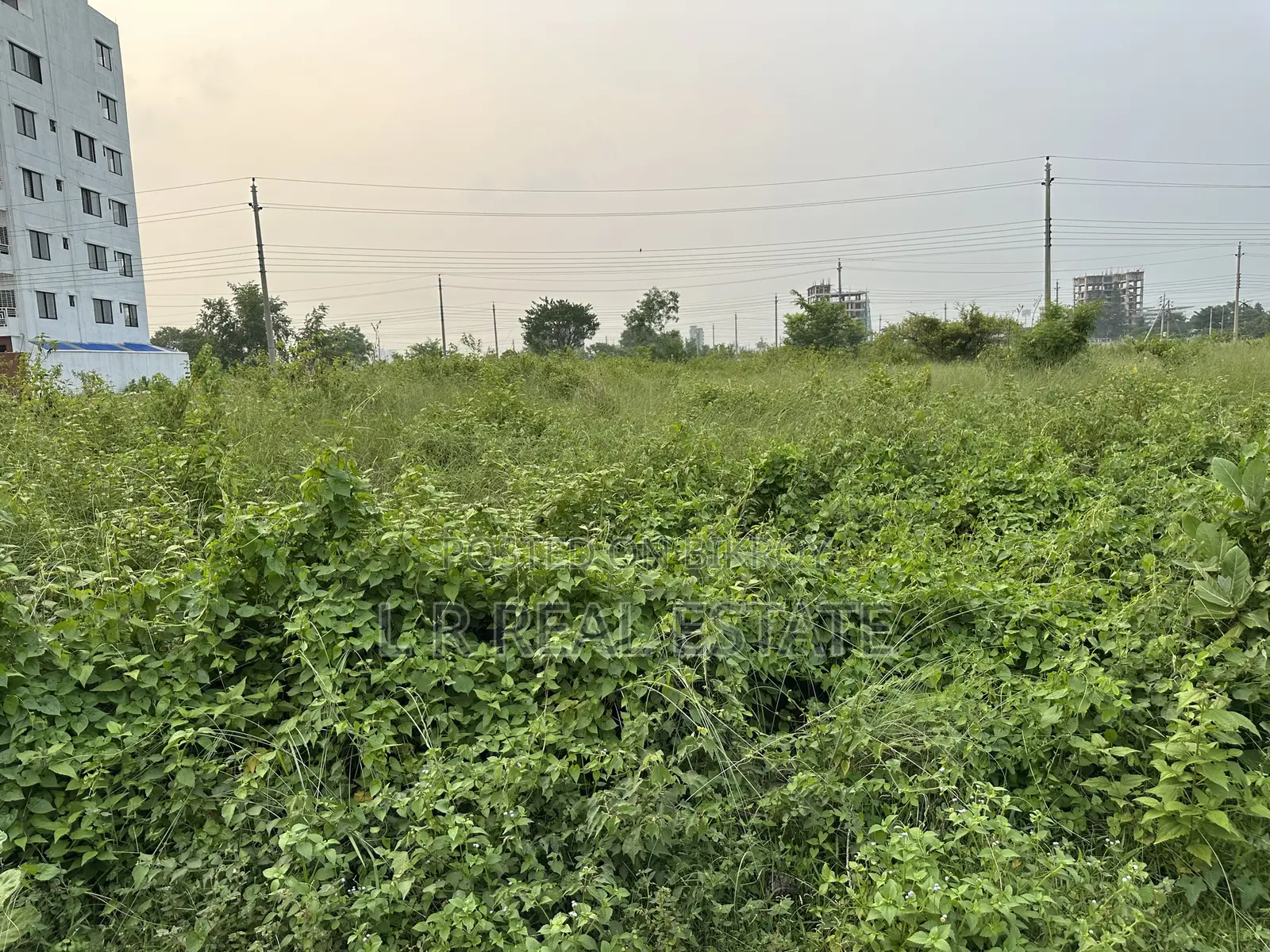 Block-N, 3 Katha, South-facing, Near Bashundhara Park, Urgent Sale