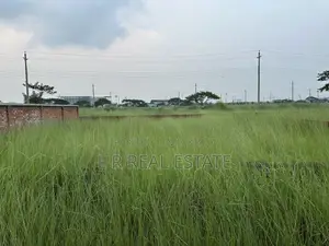 Block-P, 3-Katha, South-facing, Urgent Sale, Bashundhara R/A