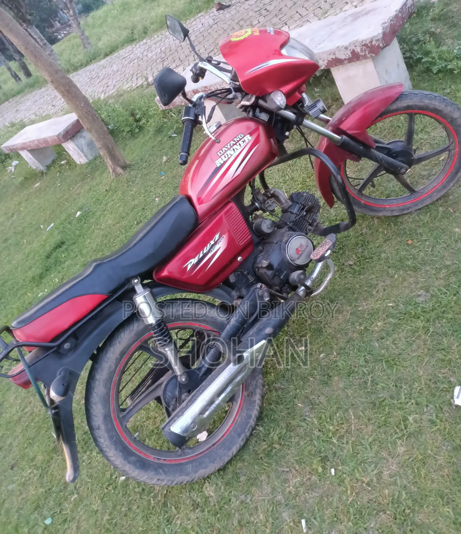 রানার এডি৮০এস-ডিলাক্স ২০১৯ লাল