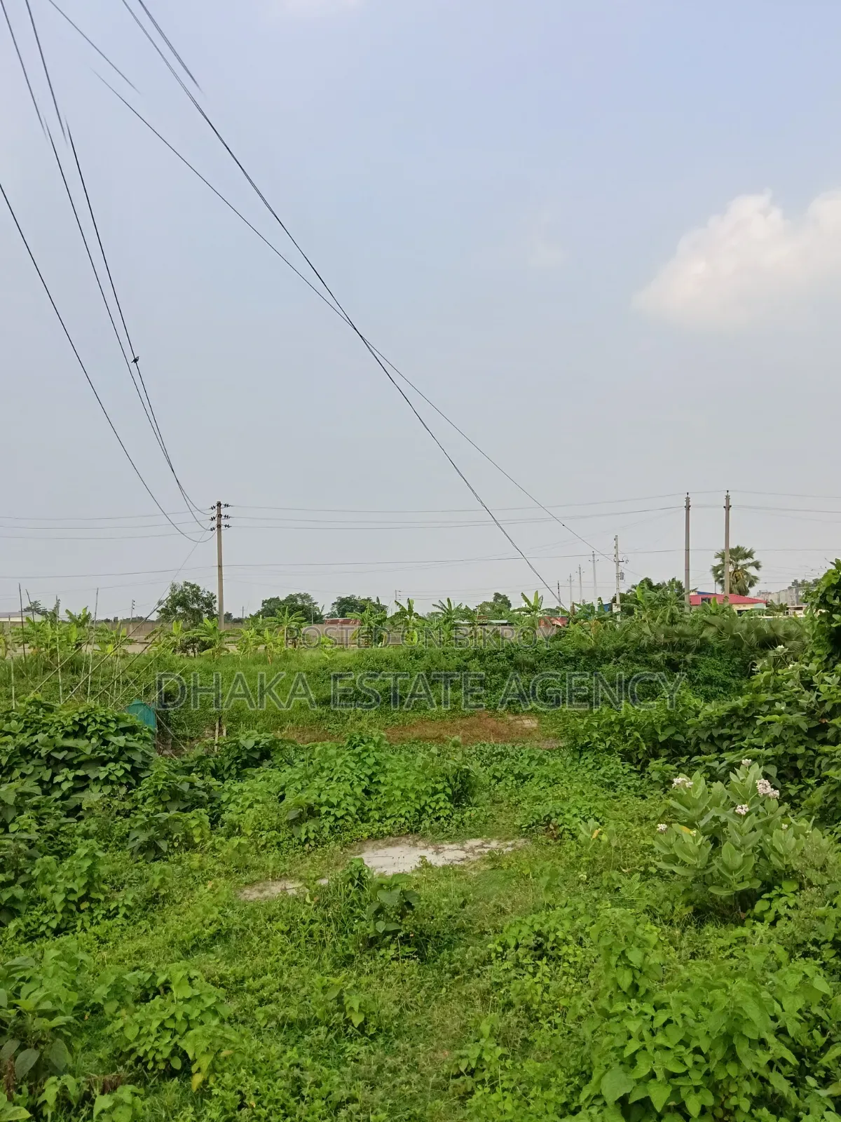 Urgent Block-P, North Facing 5 Katha Plot Sale