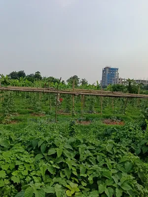 Urgent Block-P, North Facing 5 Katha Plot Sale