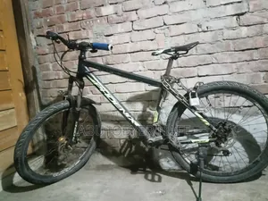 Phoenix Cycle