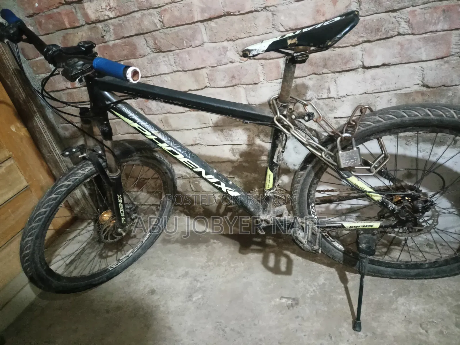 Phoenix Cycle
