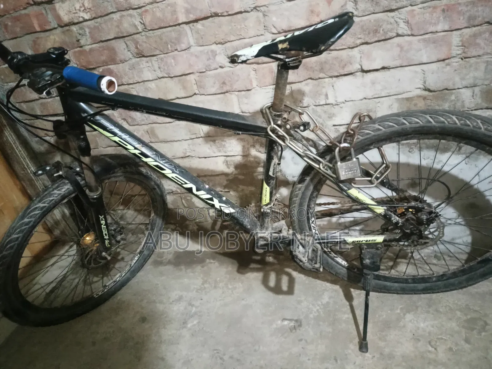 Phoenix Cycle