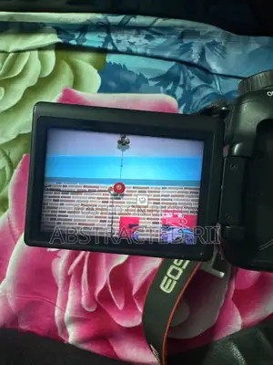 ক্যানন ৬০ডি ডিএসএলআর