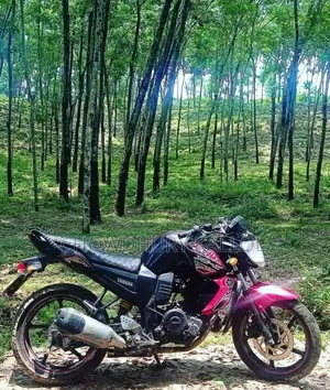 Yamaha FZ 2015 Red