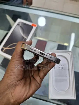 অ্যাপল আইফোন ১৬ প্রো ২৫৬ জিবি সিলভার