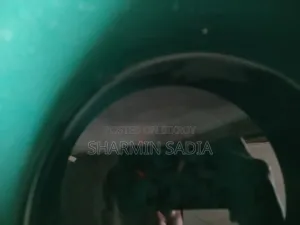 Aquarium Fish