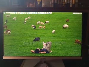 Viewsonic Vx2276-Sh 2 22" 100hz FHD Ips Monitor