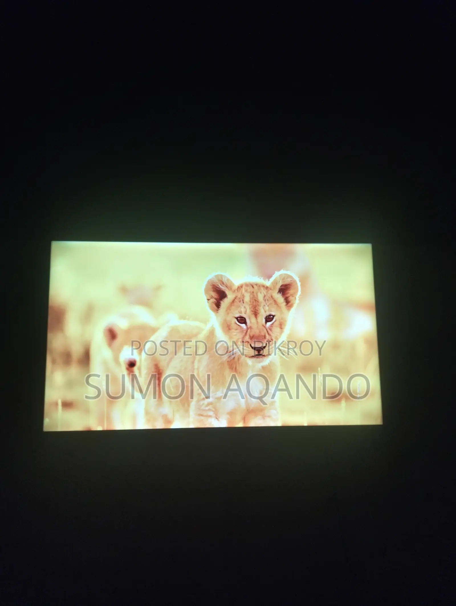 Haier 43'' Smart Tv (Excellent Condition) – Urgent Sale