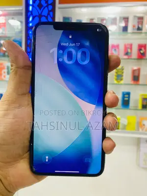 Apple iPhone 11 Pro Max 256 GB Gray