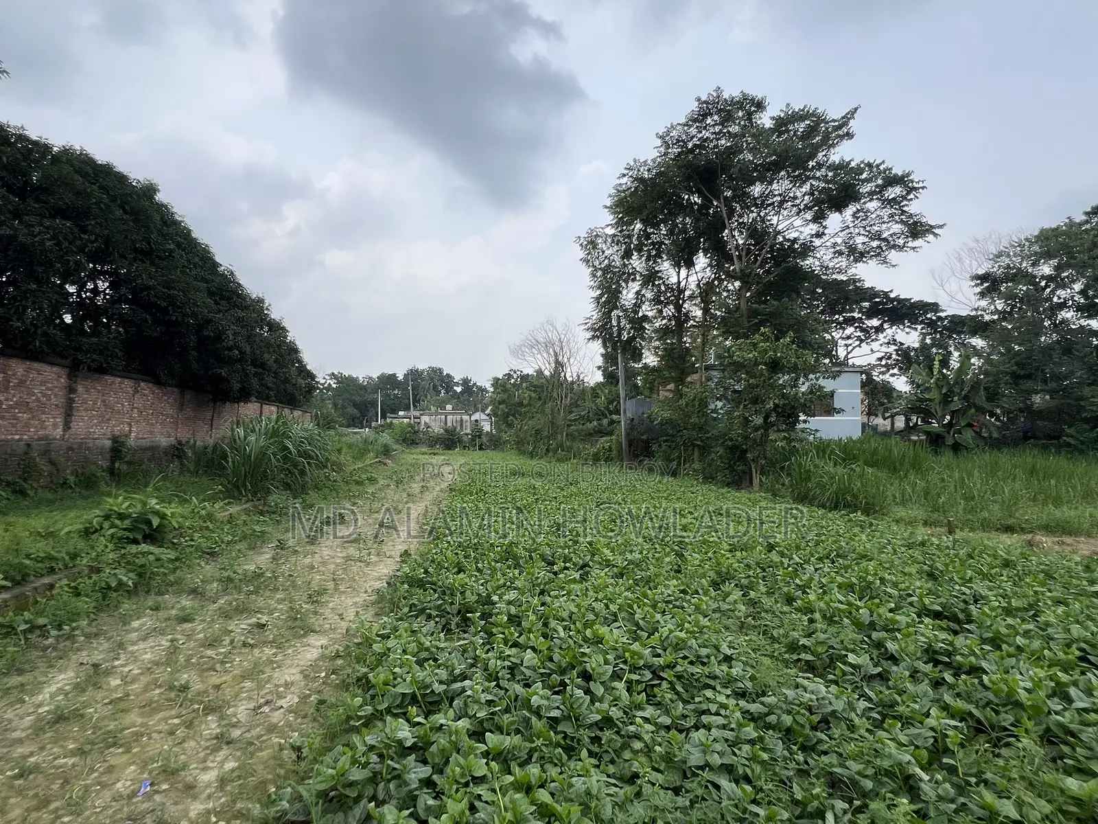 Agricultural land for sale