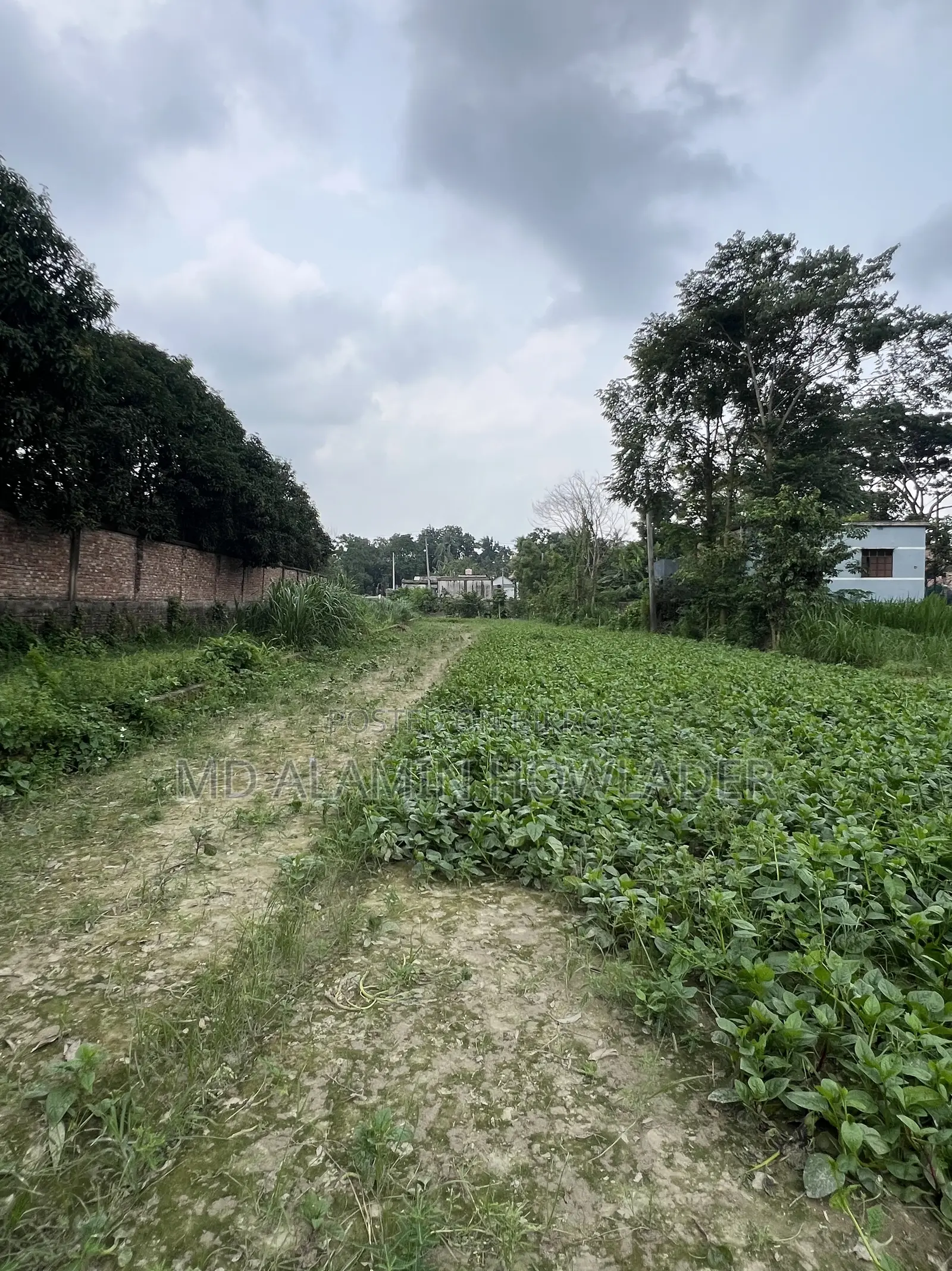 Agricultural land for sale