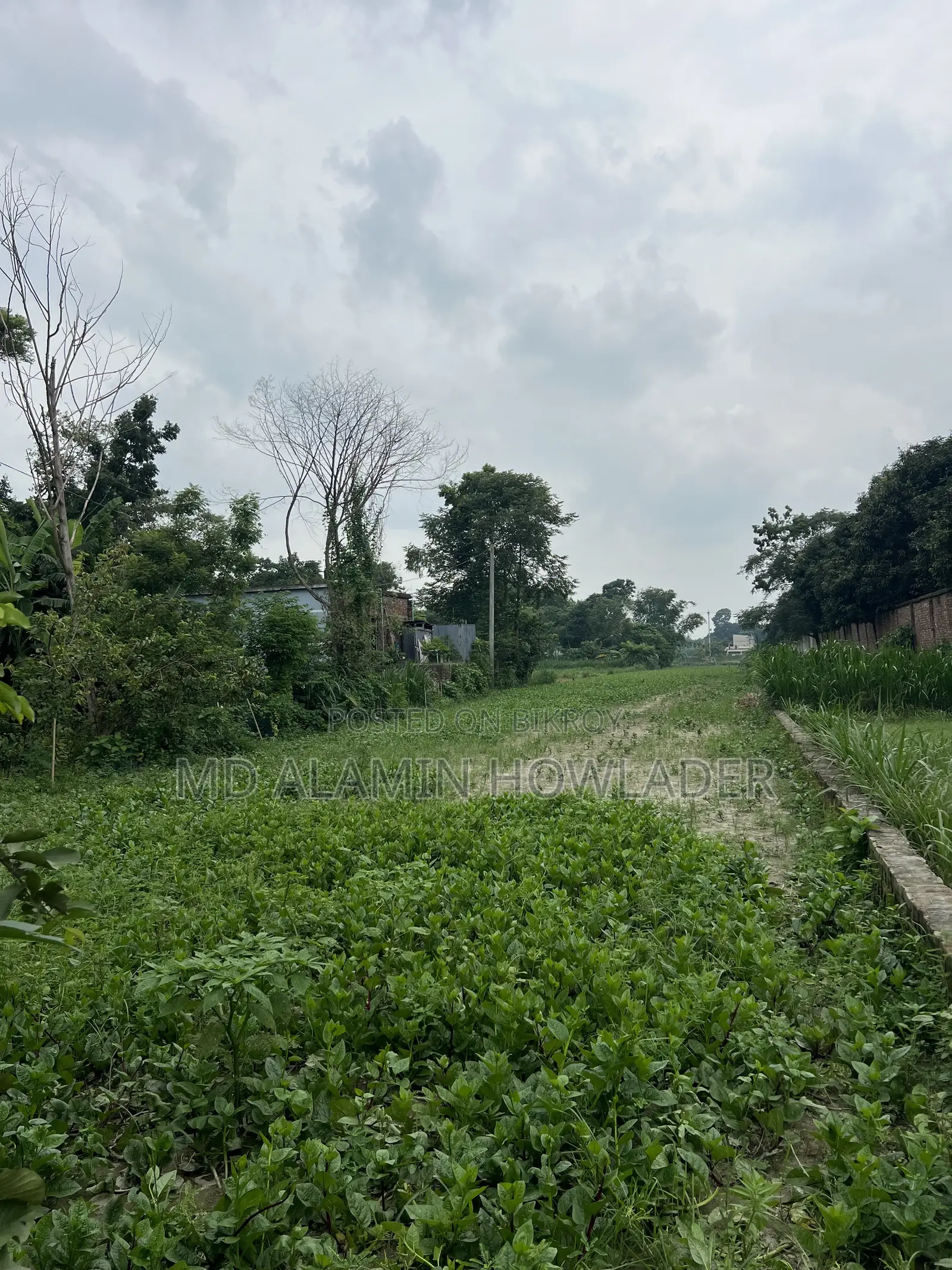 Agricultural land for sale