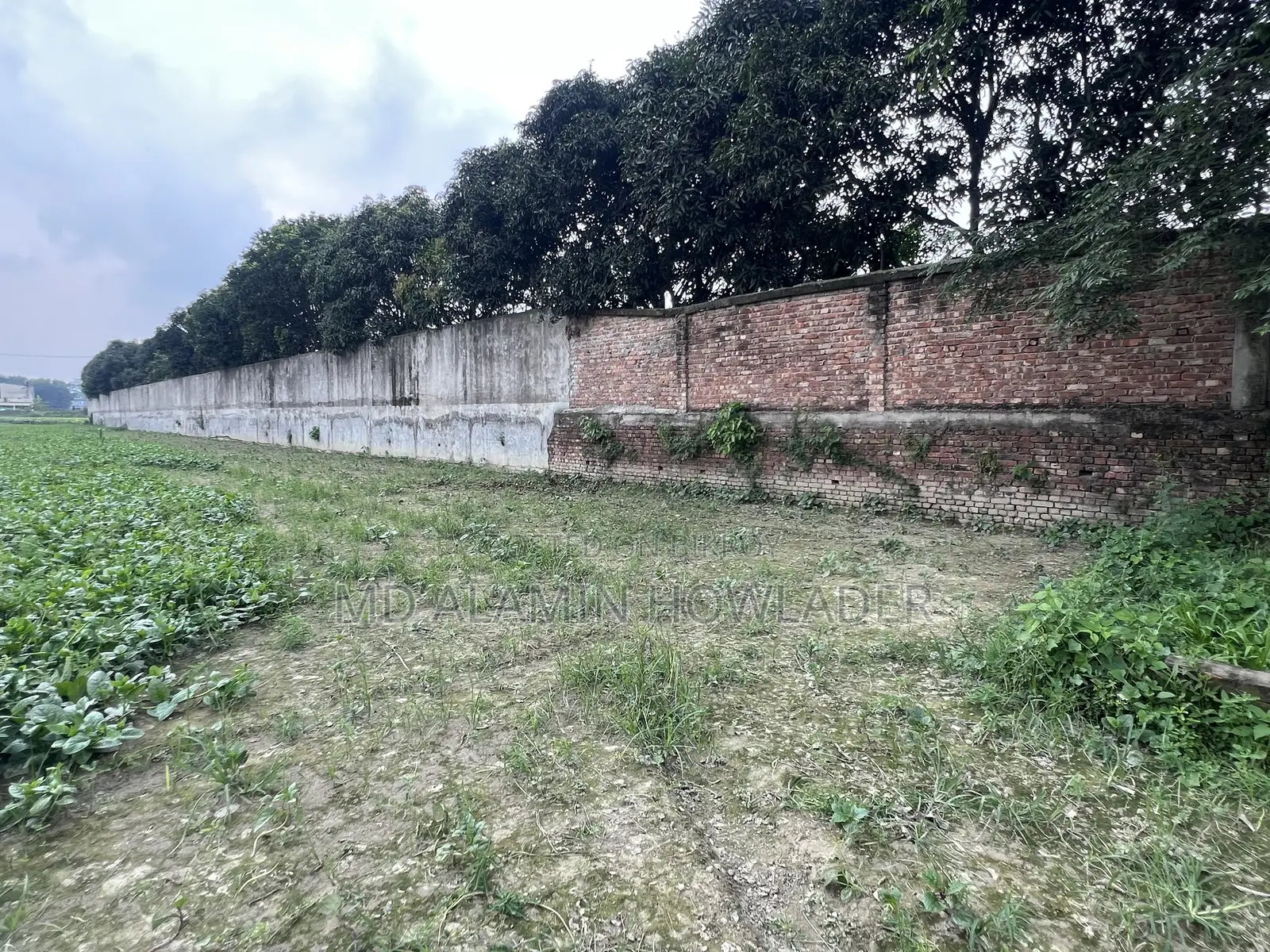 Agricultural land for sale