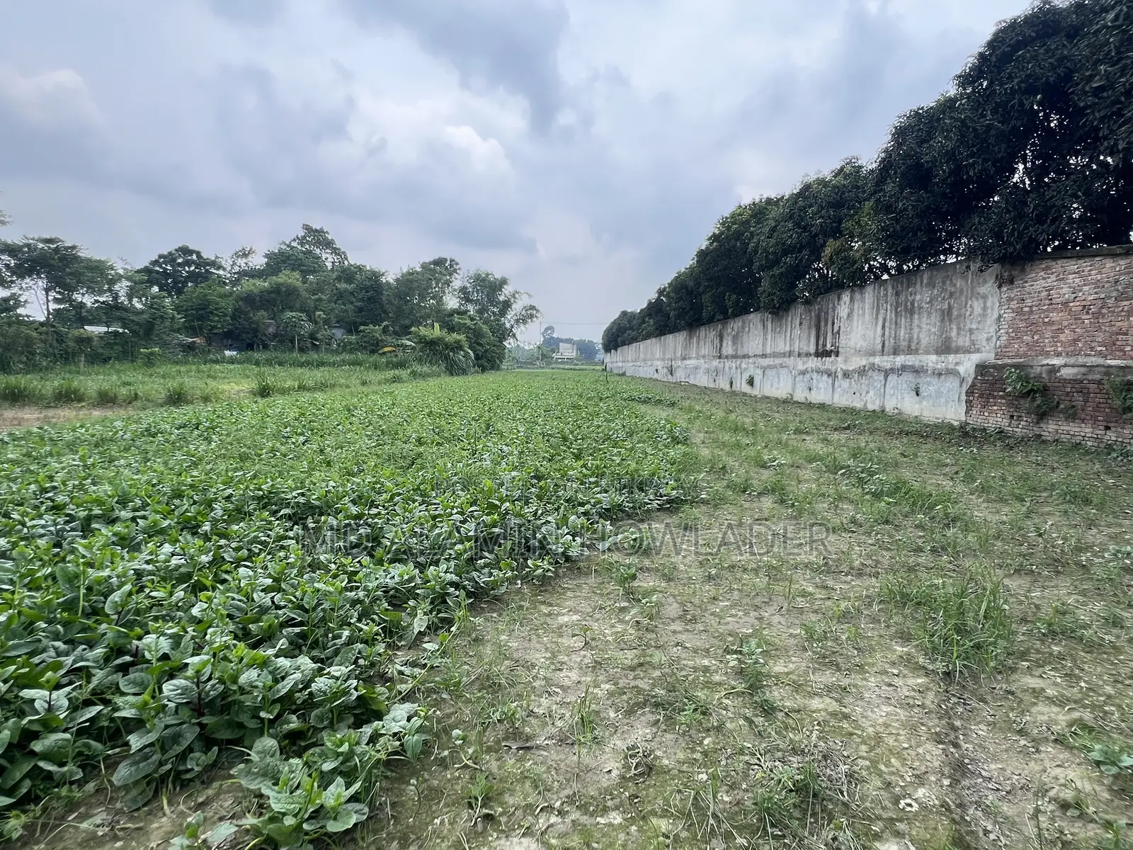 Agricultural land for sale