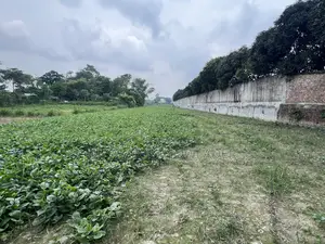 Agricultural land for sale