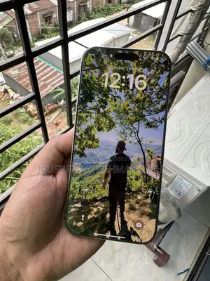 Apple iPhone 16 Pro Max 256 GB Gray