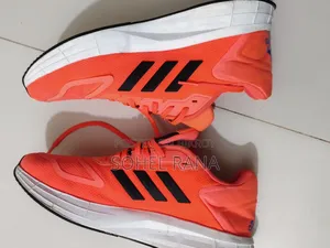 Adidas Shoes