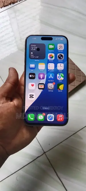 Apple iPhone 15 Pro Max 256 GB Gray