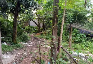 3 Shotok Plot in Konabari Kashimpur Gazipur Industrial Area on Low Budget