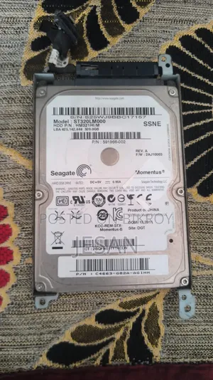Hard Disk Drive (320 Gb)