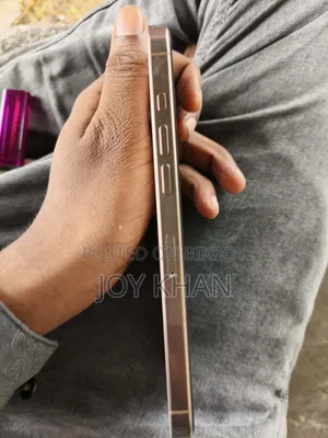 Apple iPhone 16 Pro Max 256 GB Rose Gold