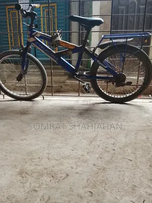 Phoenix Cycle