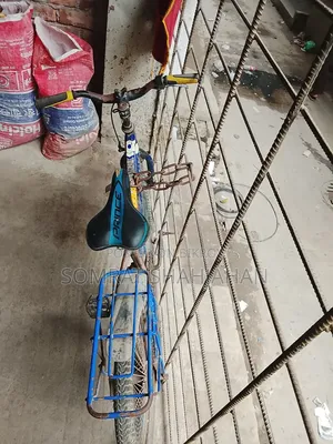 Phoenix Cycle