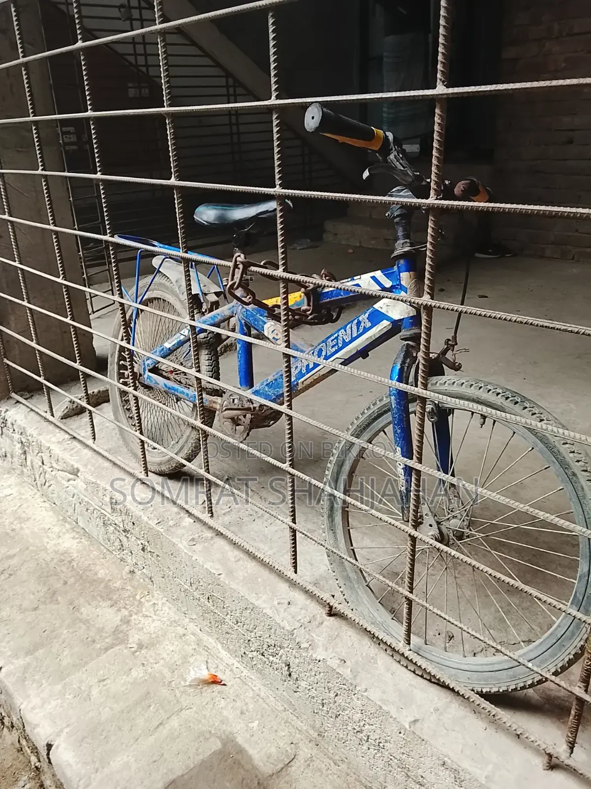 Phoenix Cycle