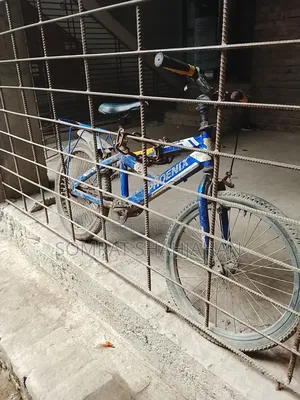 Phoenix Cycle
