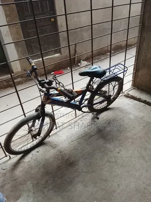 Phoenix Cycle
