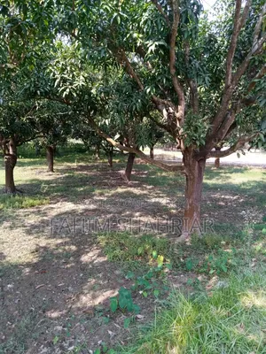 7 Katha Land for Sale (Paba, Birastail)