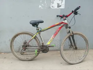 Phoenix Cycle