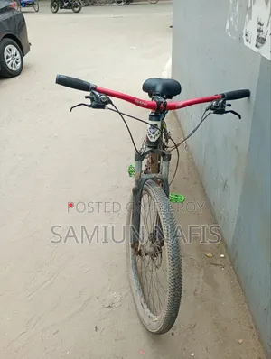 Phoenix Cycle