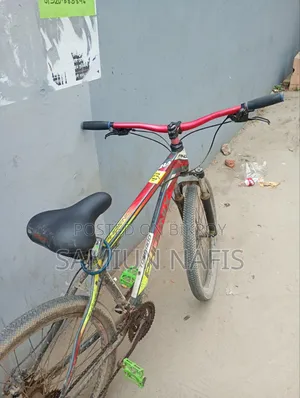 Phoenix Cycle
