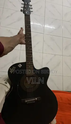 Signature Semi-Electric Acoustic Guitar