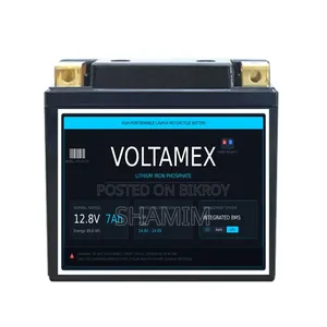 Lithium Phosphate Battery 12V