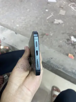 Apple iPhone 13 Pro Max 256 GB Green