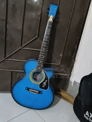 Acoustic Guitar for Sale