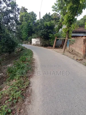 Buy genuine land by the road