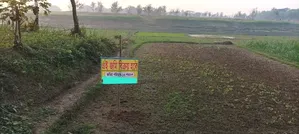 Land for sale in Savar Radio Colony Jamsing Mouza. 13 Shotok