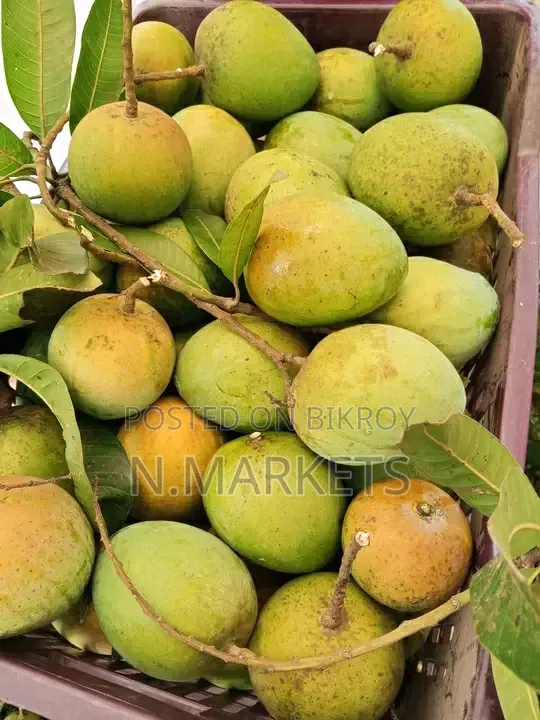 Haribhanga Mango from Rangpur