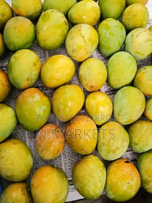 Haribhanga Mango from Rangpur
