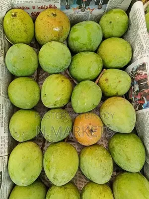 Haribhanga Mango from Rangpur