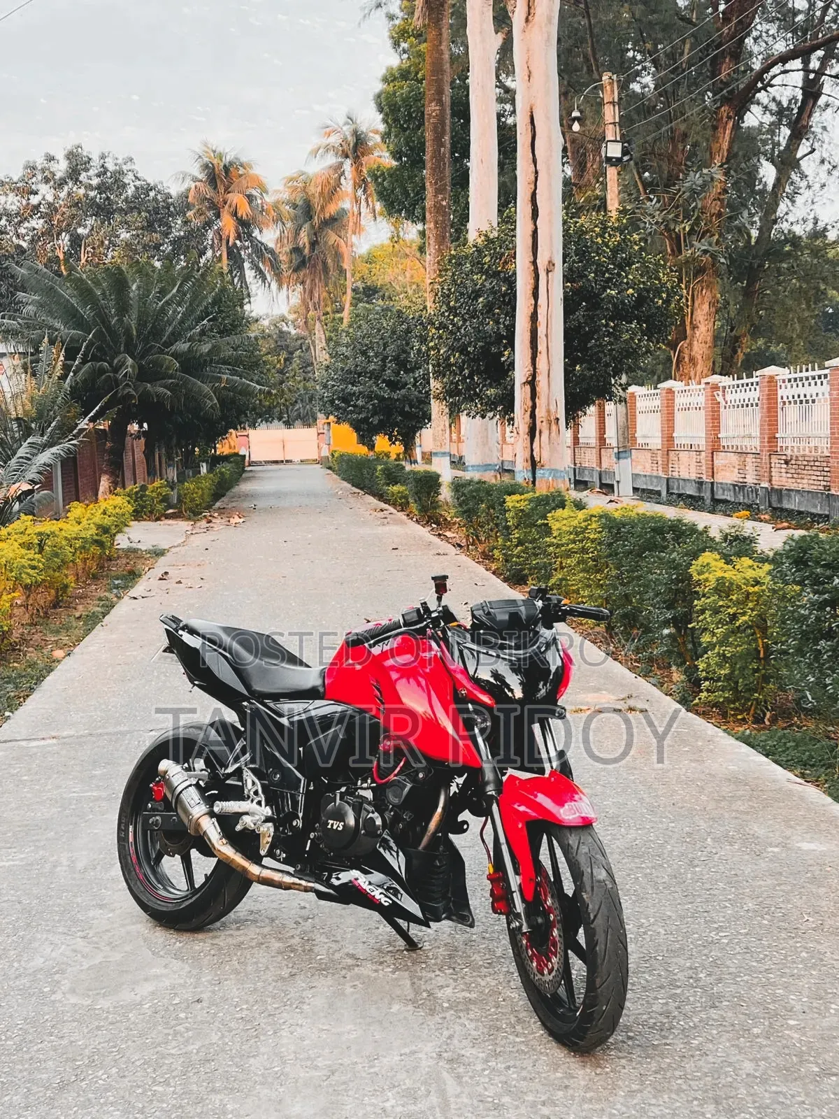 TVS Apache 160 4V 2019 Red