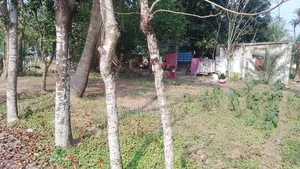 Sale of my 4 Katha land in front of Bishwaroad Textile College
