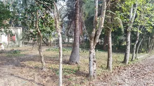 Sale of my 4 Katha land in front of Bishwaroad Textile College