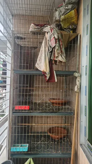 Pigeon Cage 4 থাক